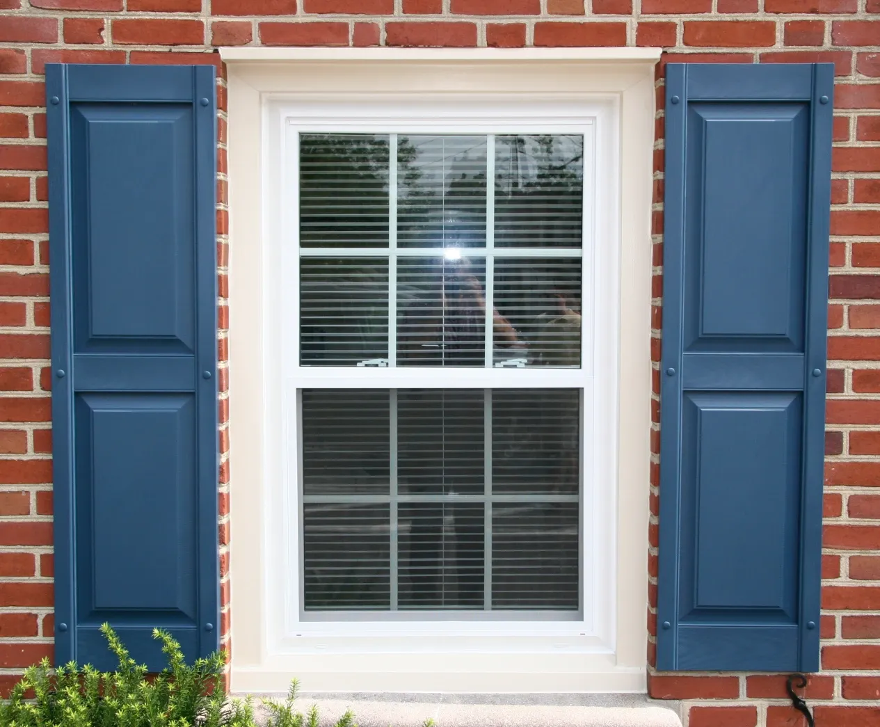 A white-framed window with blue shutters is set in a red brick wall. Blinds cover the window. Greenery is visible at the bottom, conveying a tidy, suburban feel.