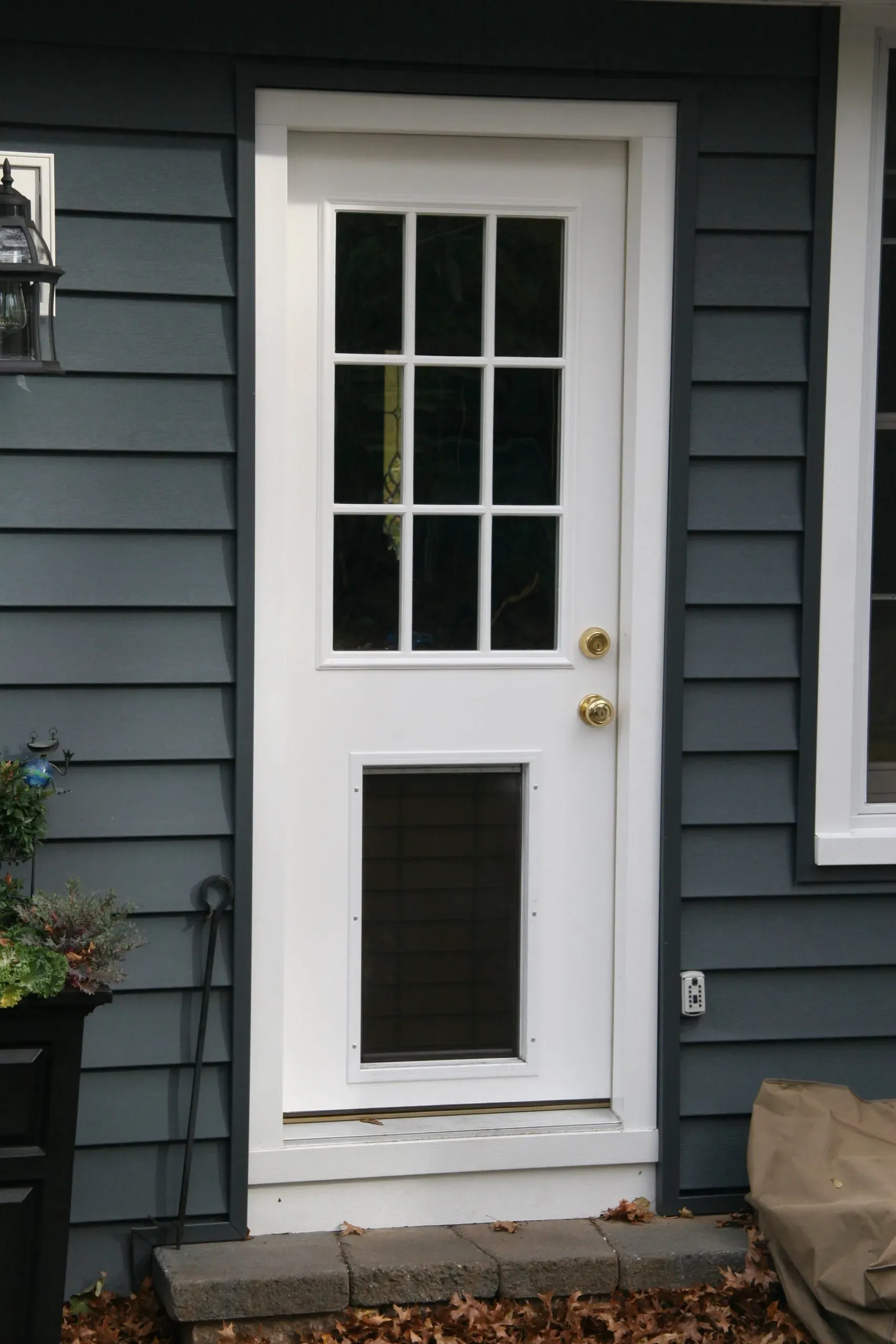 White door with glass panes and a built-in pet door, set against dark gray siding. Leaves are scattered on the ground, conveying an autumn feel.