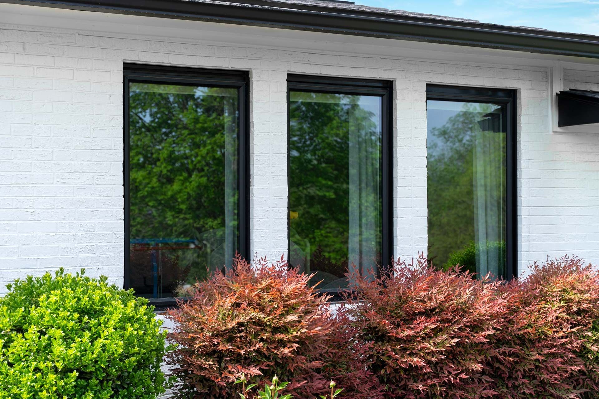 Three large windows with black frames on a white brick wall reflect greenery. Lush red and green shrubs border the house, conveying a serene, natural ambiance.