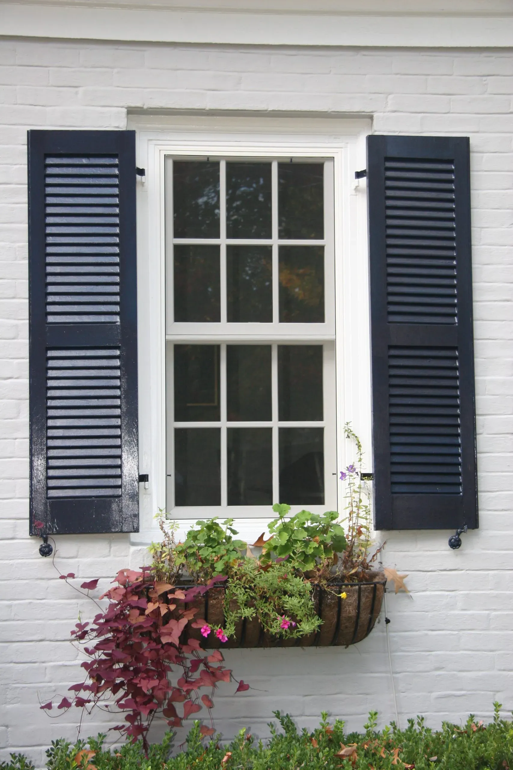 White brick home with a double-pane window framed by dark blue shutters. Below, a flower box overflows with vibrant plants and autumn foliage.
