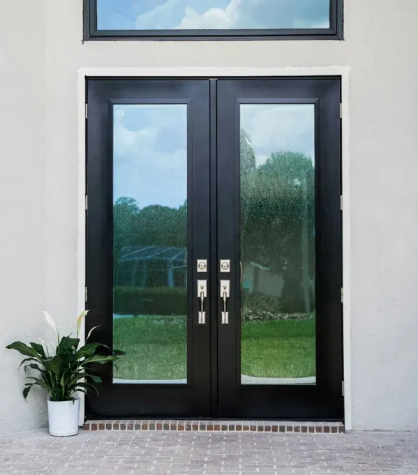 Black double doors with tall, frosted glass panels stand against a light beige wall. A potted plant with lush green leaves is near the left door, creating a welcoming and serene atmosphere.
