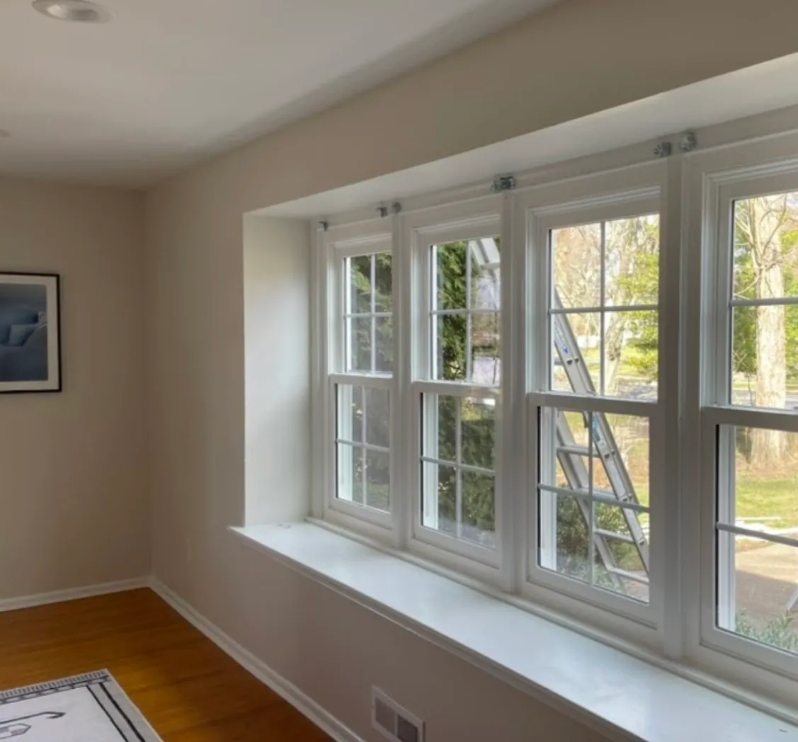 Windows in living room